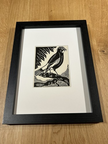 Jay framed woodcut bird - ‘jay’-,
