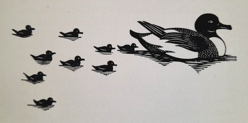 Gibbings duck ducklings - duck,