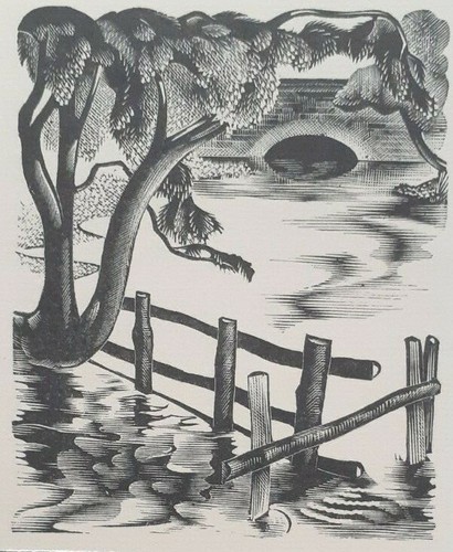 Miller parker river stream - parker,