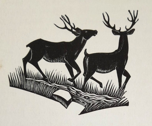 Gibbings deer stag - stag, a
