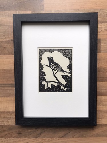 Chaffinch framed - ‘chaffinch’-,