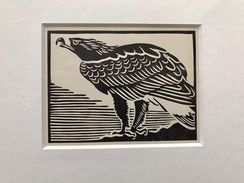 Golden eagle framed - ‘golden, eagle’-