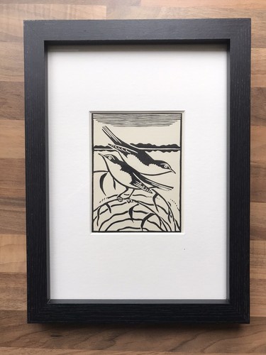 Marsh warbler framed - warbler’-,