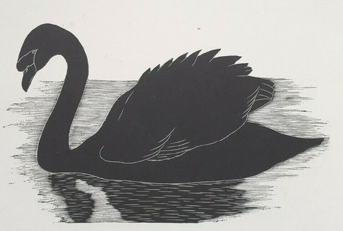 Daglish swan bird print - daglish, of