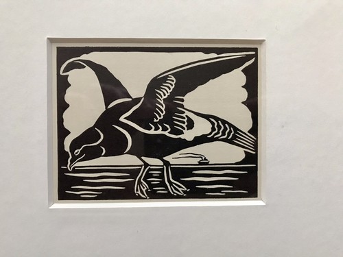 Storm petrel framed - petrel’-,