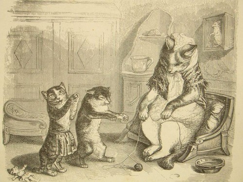 Animalia publique des animaux