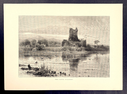 Ross castle killarney ireland - ross,