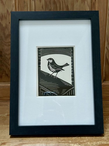 House sparrow framed - ‘house, sparrow’-