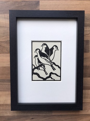 Pied flycatcher framed - ‘pied,