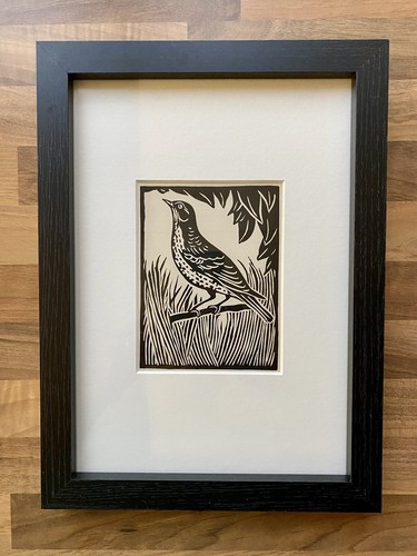 Mistle thrush framed - ‘mistle,