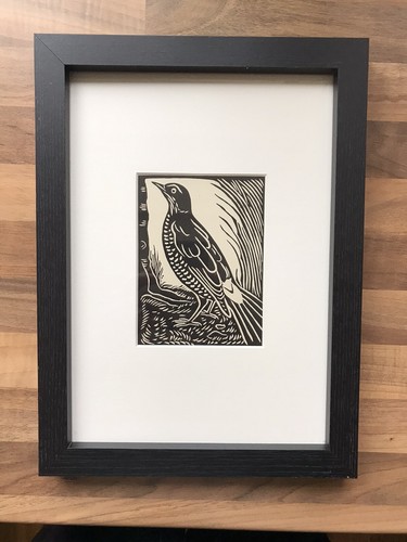 Fieldfare framed - ‘fieldfare’-,