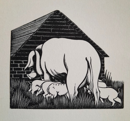 Gibbings pig sow piglets print - gibbings,