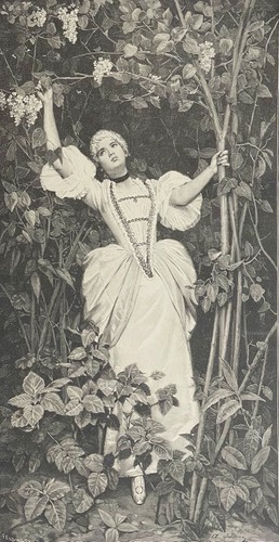 Savini under the flowers - savini,