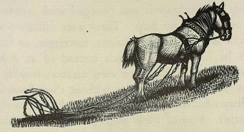 Working horse plough - -, 1936