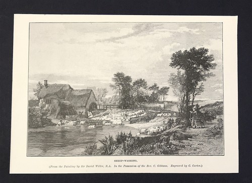 Sheep washing woodcut print - sheep-washing,