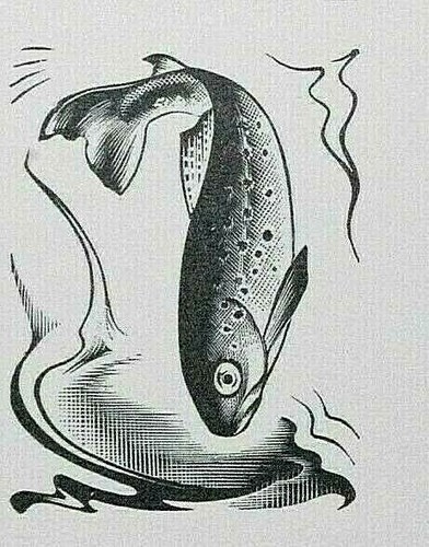Miller parker trout fish - fish, print