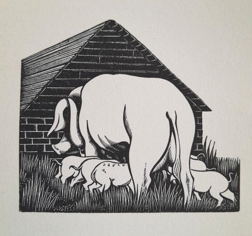 Gibbings pig sow - piglets, print