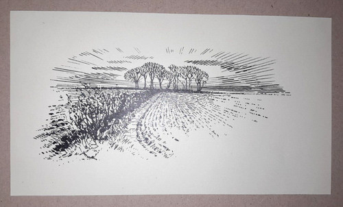 Field sunrise sunset print - field,