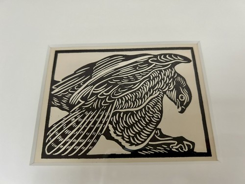 Sparrowhawk framed - ‘sparrowhawk’-,