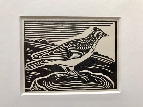 Skylark framed - ‘skylark’, (small)