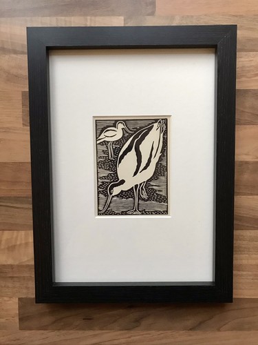 Avocet framed woodcut - ‘avocet’-,