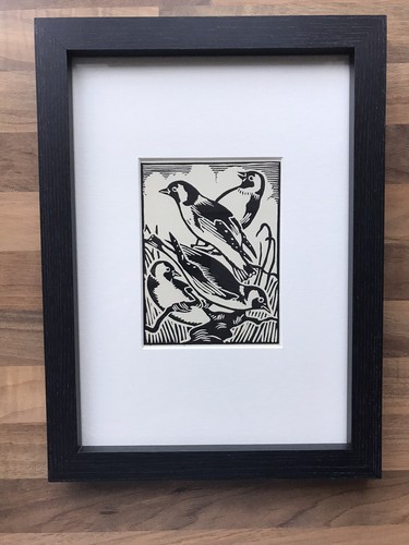 Goldfinch framed - ‘goldfinch’-,