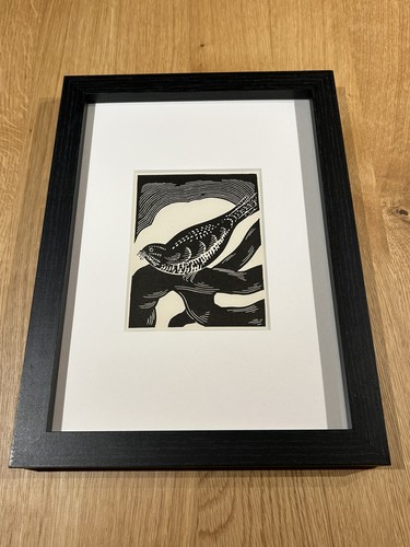 Nightjar framed woodcut - ‘nightjar’-,