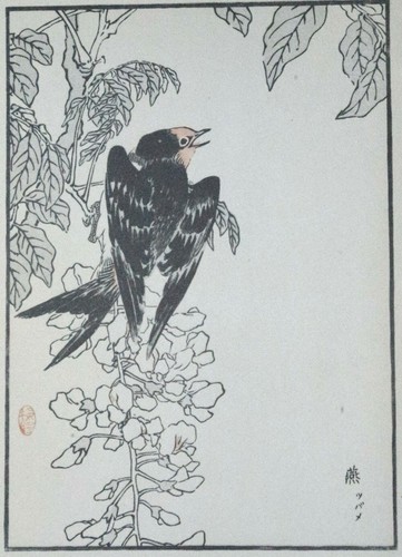 Bairei swallow japanese - swallow,