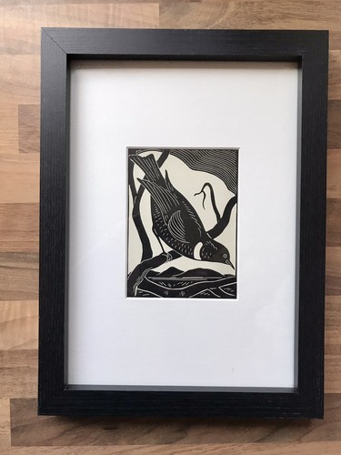 Ring ouzel framed - ‘ring, ouzel’-