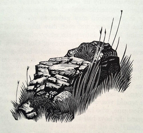 Grassy rocks print - -, of