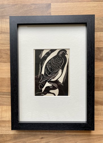 Turtle dove framed - dove’-,