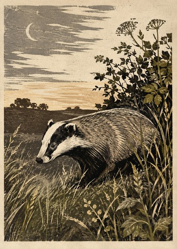 Badger print vintage - a4,