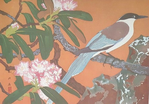 Rakusan japanese magpie - rakusan,