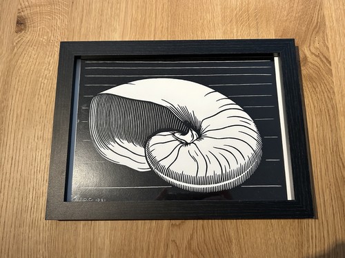 Shell framed woodcut - ’-,