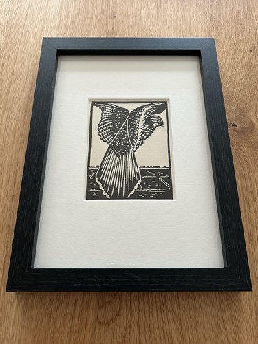 Kestrel framed woodcut - framed,