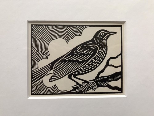 Song thrush framed - ‘song, thrush’-