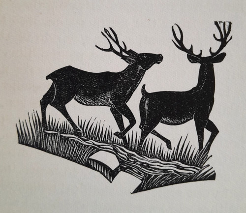 Gibbings deer stag print a - print,