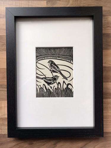 Bearded tit framed - tit’-,