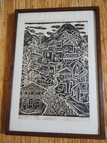 Framed acapulco hillside - framed,