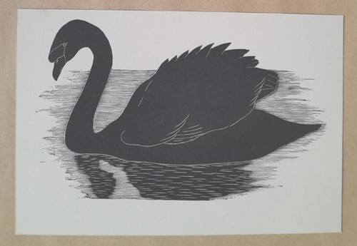 Daglish swan bird print - daglish, of