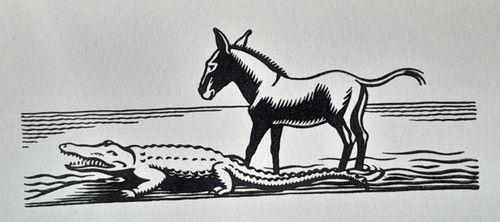 Donkey ass crocodile - ass, vintage