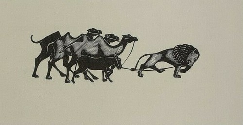 Lion camel camels print - camels,