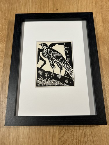 Sparrowhawk framed - ‘sparrowhawk’-,