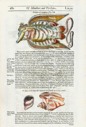 Ambroise paré the monstrous - ,