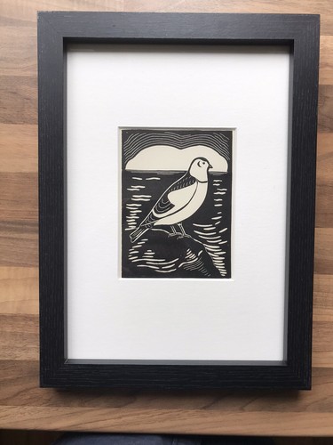 Snow bunting framed - ‘snow,