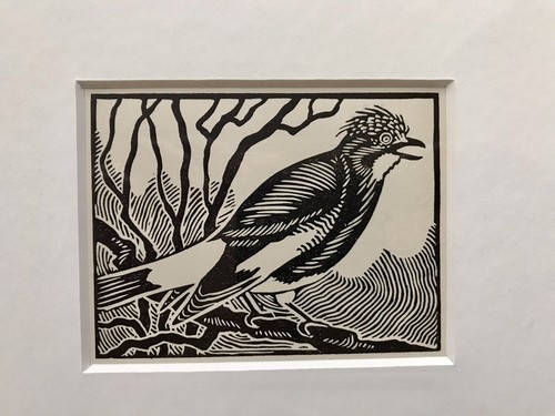 Jay framed woodcut bird - ‘jay’-,