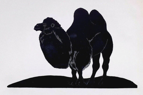 Daglish bactrian camel - camel, woodcut