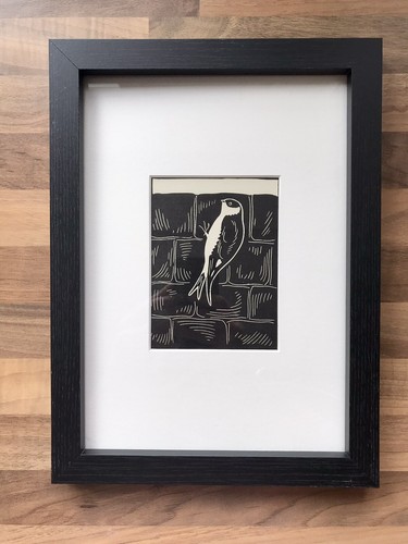 House martin framed - ‘house, martin’-